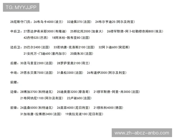 法甲尼斯俱乐部球员介绍与评价