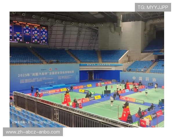 羽毛球挑选视频 羽毛球挑选视频