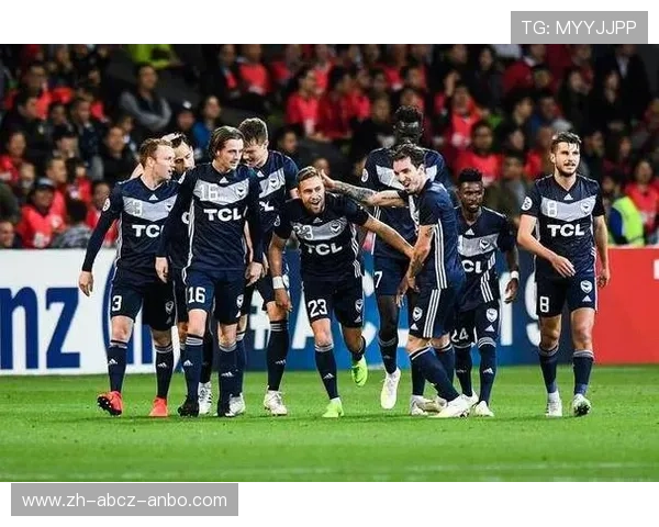 足球赛事中的收入分配与经济分析