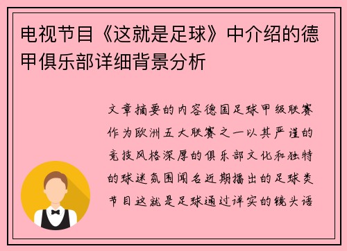 电视节目《这就是足球》中介绍的德甲俱乐部详细背景分析